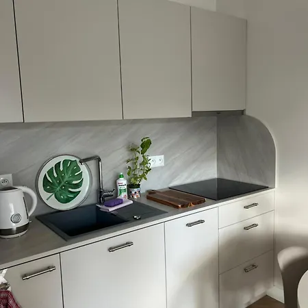 Apartman Baltic Dla Par I Singli