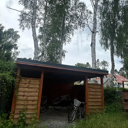 Baltic Dla Par I Singli Łukęcin